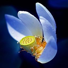 《不朽者传奇》开发商：大裁员主因是销量太差 竞争激烈